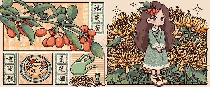 菊花包装重阳节插茱萸插画banner插画