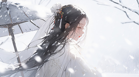 冬天在风雪中的优雅长发卡通女人背景图片