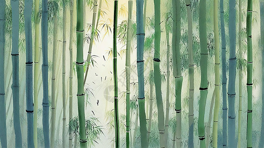 阳光透过竹林图片