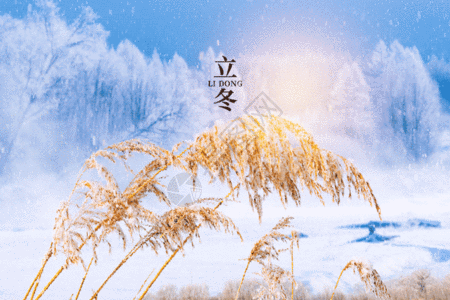 立冬唯美大气创意芦苇gif动图图片