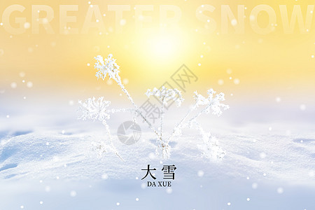 雪后初霁大雪唯美创意日初雪花设计图片