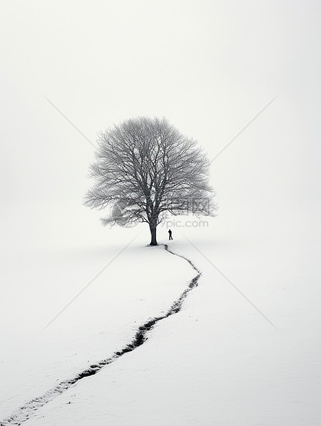 雪地中枯树下一个小小的人物剪影图片