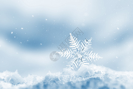 雪景雪花创意冬天背景图片