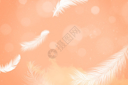 柔和桃羽毛背景图片