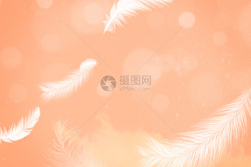 柔和桃羽毛背景图片