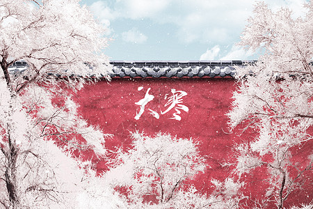 月牙泉雪景大寒创意白色雪景叶子设计图片