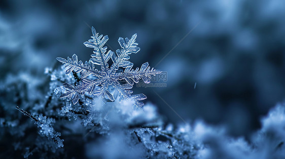 蓝色调梦幻漂亮的卡通雪花特写图片