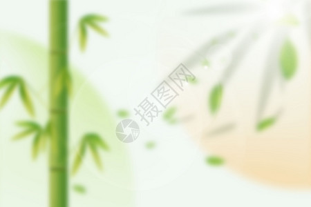 春天竹子背景图片