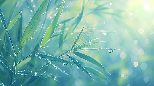 雨后清新唯美的绿叶上落着很多水珠卡通风景画图片