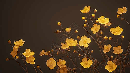 盛开的金黄色卡通花朵图片