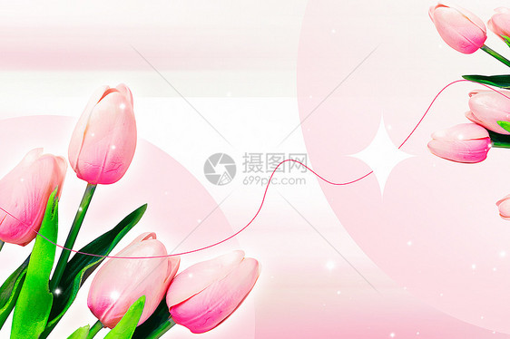 粉色郁金香节日促销花卉背景图片