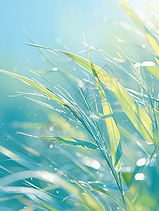 春天嫩绿色的草丛卡通背景图片