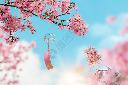 樱花宫扇创意蓝色樱花背景设计图片