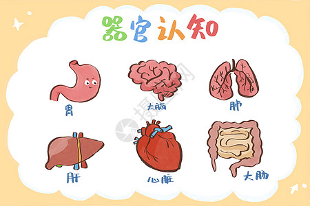 健康教育科普器官认知儿童简笔画图片