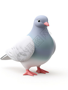 鸽子3D图标图片