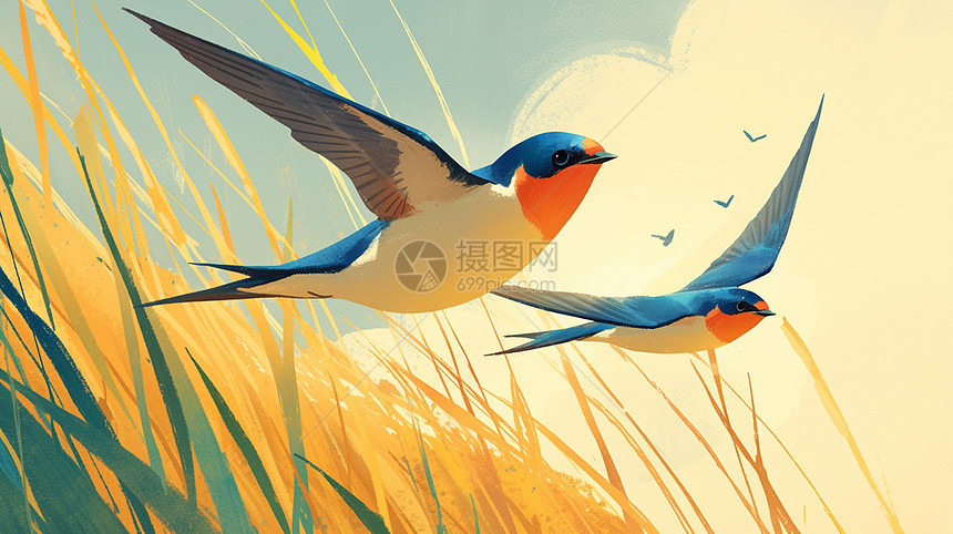 两只可爱的鸟飞舞在草丛旁图片