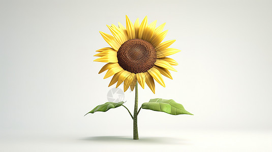 灰白背景的向日葵3D图标图片