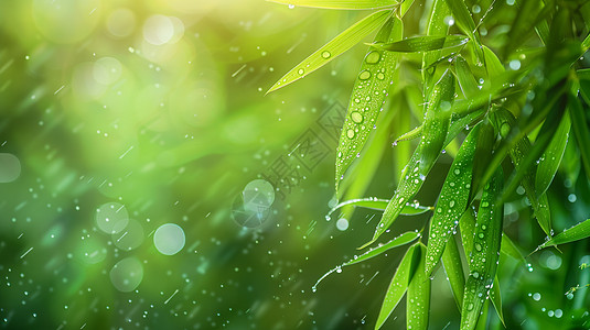 春天雨中唯美绿色调风景图片