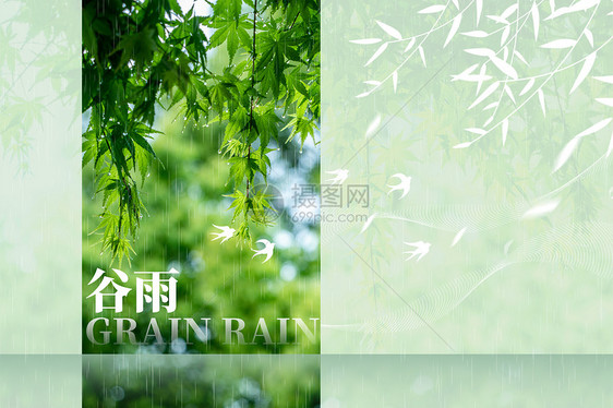 谷雨绿色创意树叶图片