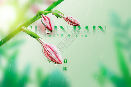 水滴谷雨唯美创意植物花朵设计图片