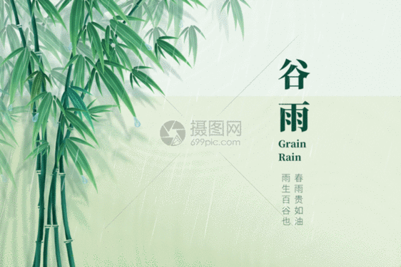 谷雨简洁大气创意竹子GIF图片