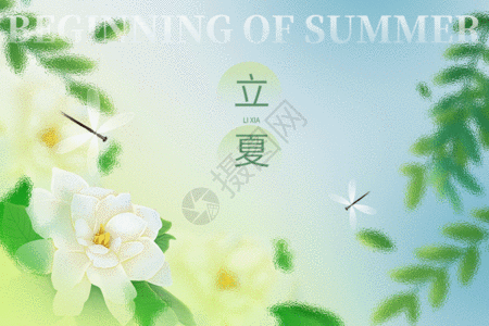 大气邀请函立夏唯美创意大气植物花朵GIF高清图片
