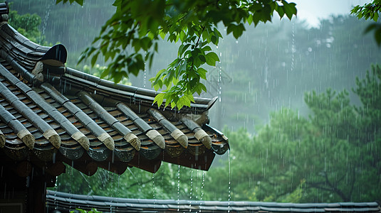 下雨雨中唯美清新的古风屋顶插画