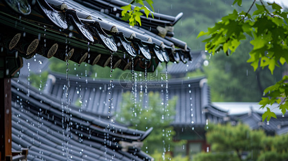 大雨中绿树下古风精致的屋顶图片