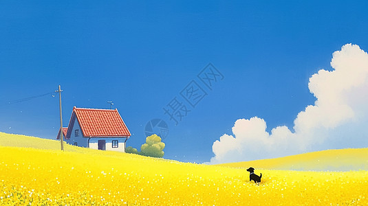 蓝天白云下盛开着油菜花的卡通花田小房子与一只小黑狗图片