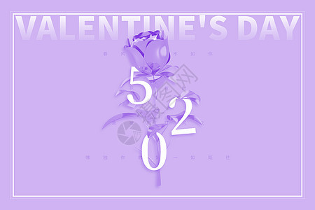 520紫色大气玫瑰图片