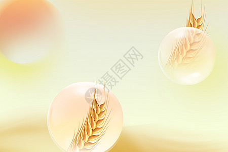 金黄色小麦背景图片