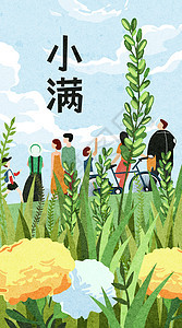 二十四节气小满收获田野梯田扁平风竖版插画图片