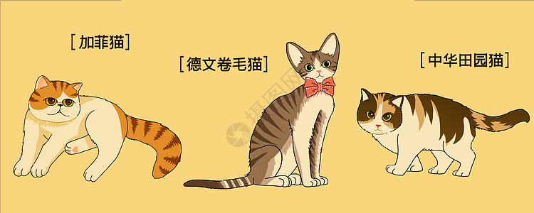 萌宠可可爱爱三小只猫咪插画图片