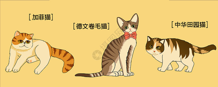 萌宠可可爱爱三小只猫咪插画图片