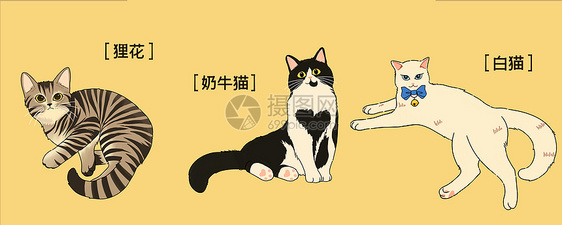 萌宠可爱三小只猫咪插画图片