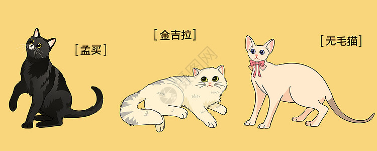 萌宠可爱三小只猫咪插画图片