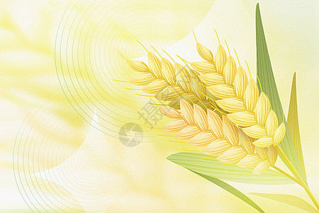 金黄色麦穗背景图片