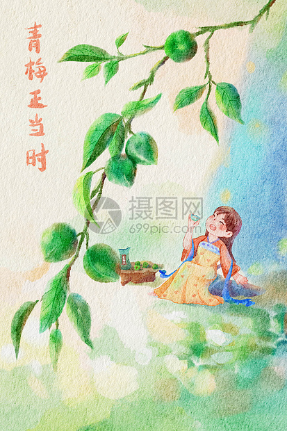 手绘水彩芒种时节青梅酿酒插画图片