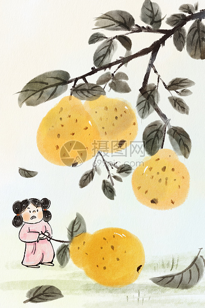手绘水墨夏季水果系列之梨插画图片