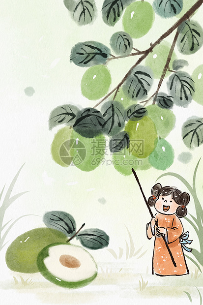 手绘水墨春季水果之青枣插画图片