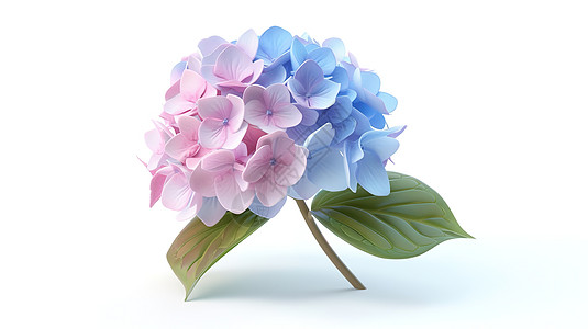 绣球花3D图标图片