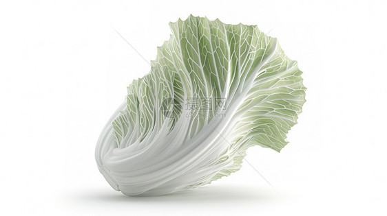 大白菜3D图标图片