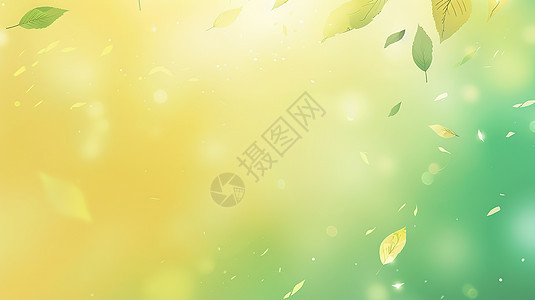 浅绿色夏天树叶背景背景图片
