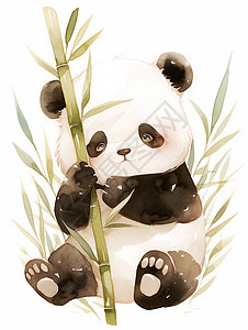 抱着竹子的卡通大熊猫图片