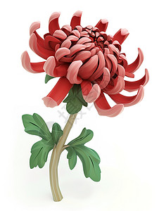 鲜花菊花3D图片