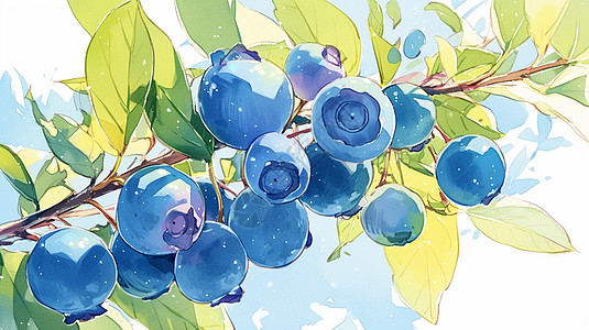 一串在树杈上新鲜美味的卡通蓝莓图片