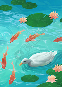 夏日池塘里的鸭子与金鱼竖图图片