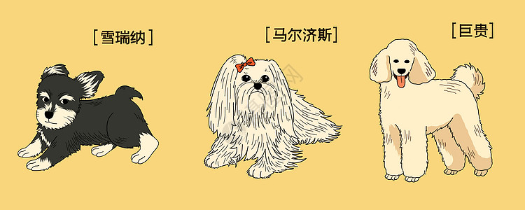 三只萌宠可爱狗狗插画图片