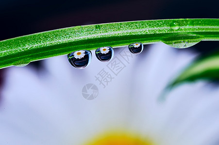 水中背景图片 水中背景素材 水中底图 摄图网 水中背景图片 水中背景素材 水中底图 摄图网