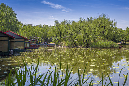 湖水小景图片